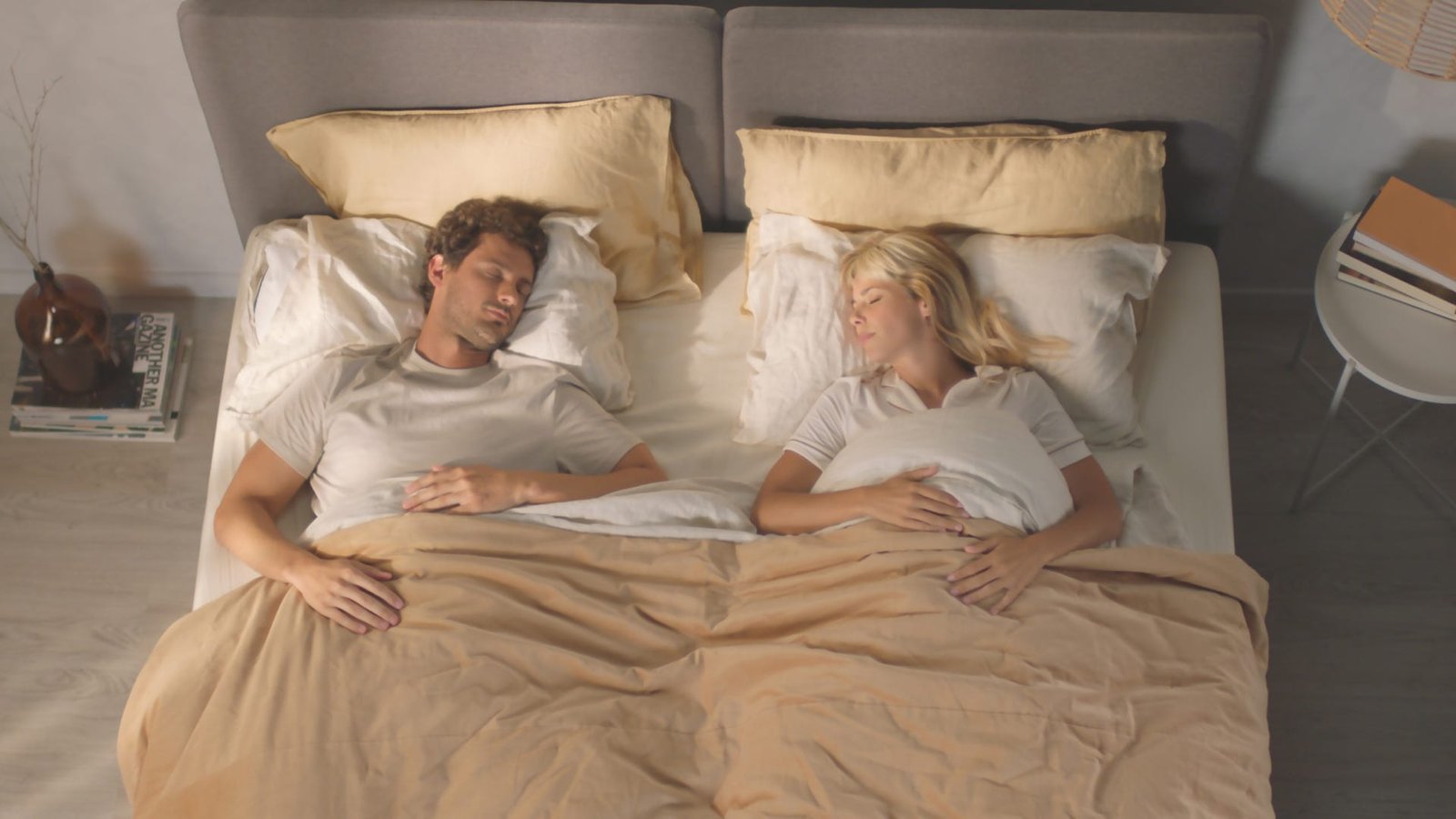 25_Hybrid_v2_11_gallery